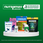 Nutramax Cobalequin B12 for Dogs - Oral Cobalamin Supplement

