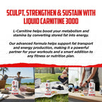 Liquid L-Carnitine 4-in-1 Formula – Stimulant-Free Energy

