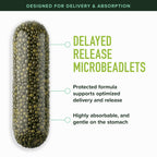 Sulforaphane Broccoli Sprouts Supplement NRF2 Activation


