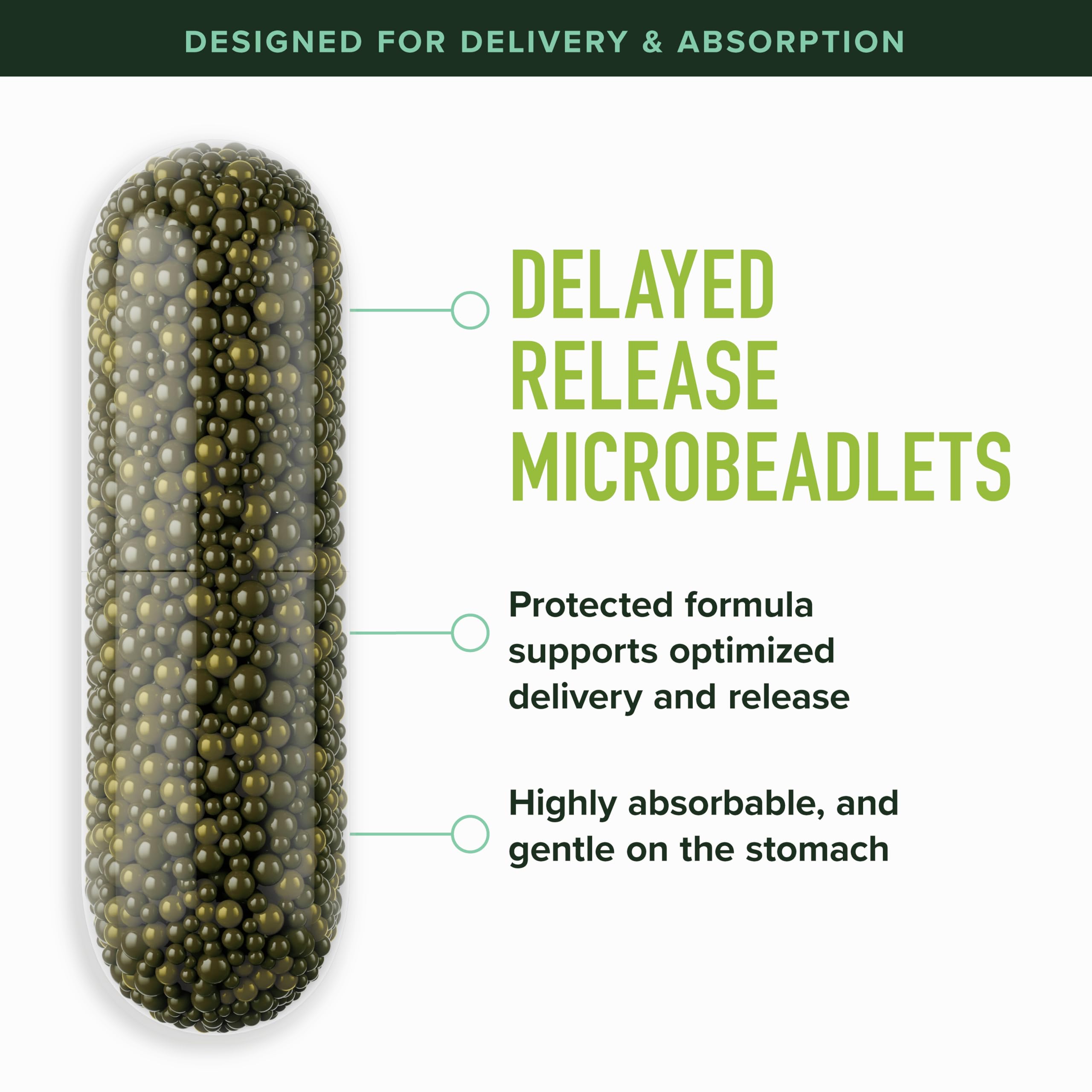 Sulforaphane Broccoli Sprouts Supplement NRF2 Activation

