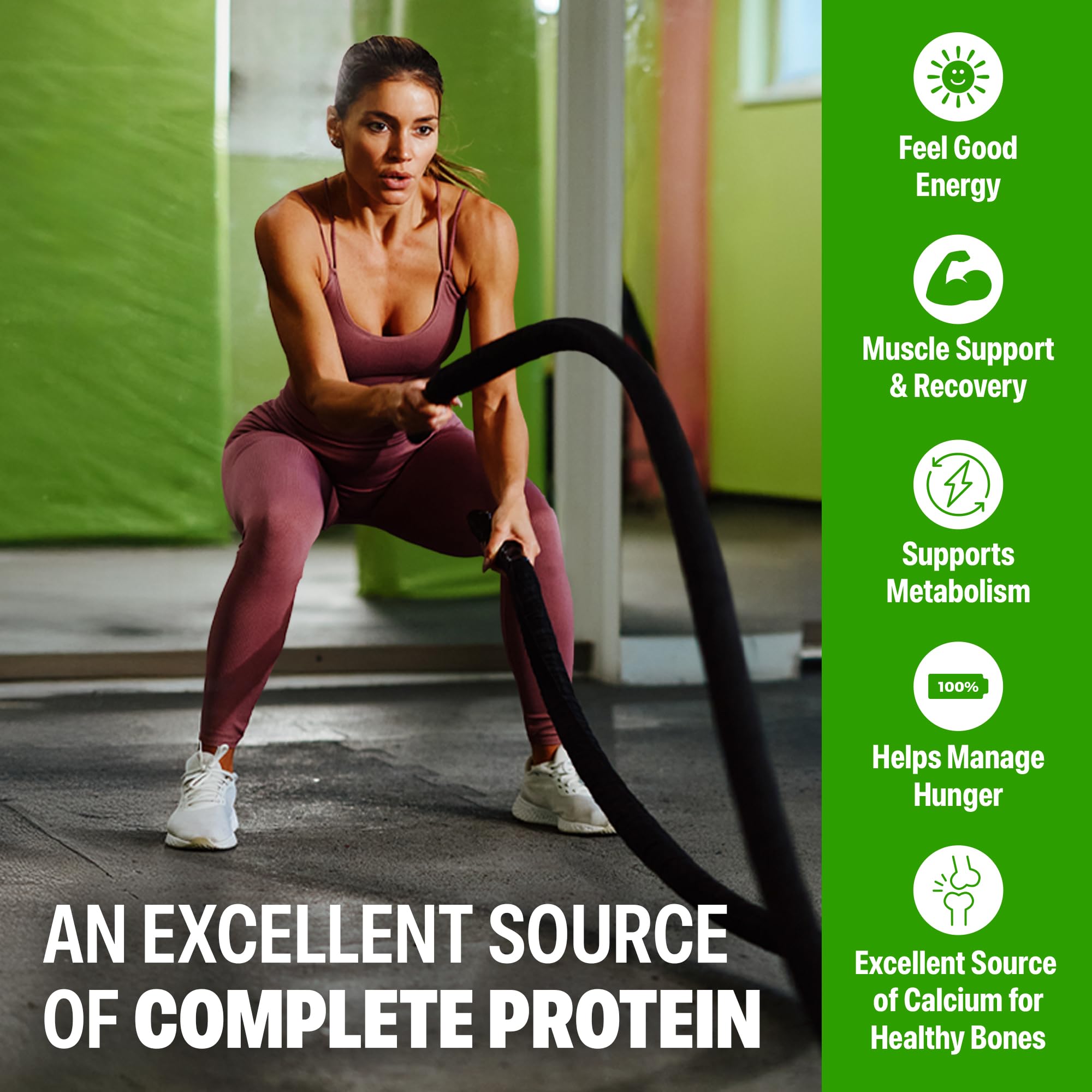 Orgain 38g High Protein Shake Dairy Isolate

