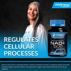 Wellness LABSRX Liposomal NAD Supplement - NAD+ Support

