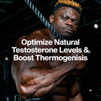 MuscleTech AlphaTest Thermo Testosterone Booster - Men

