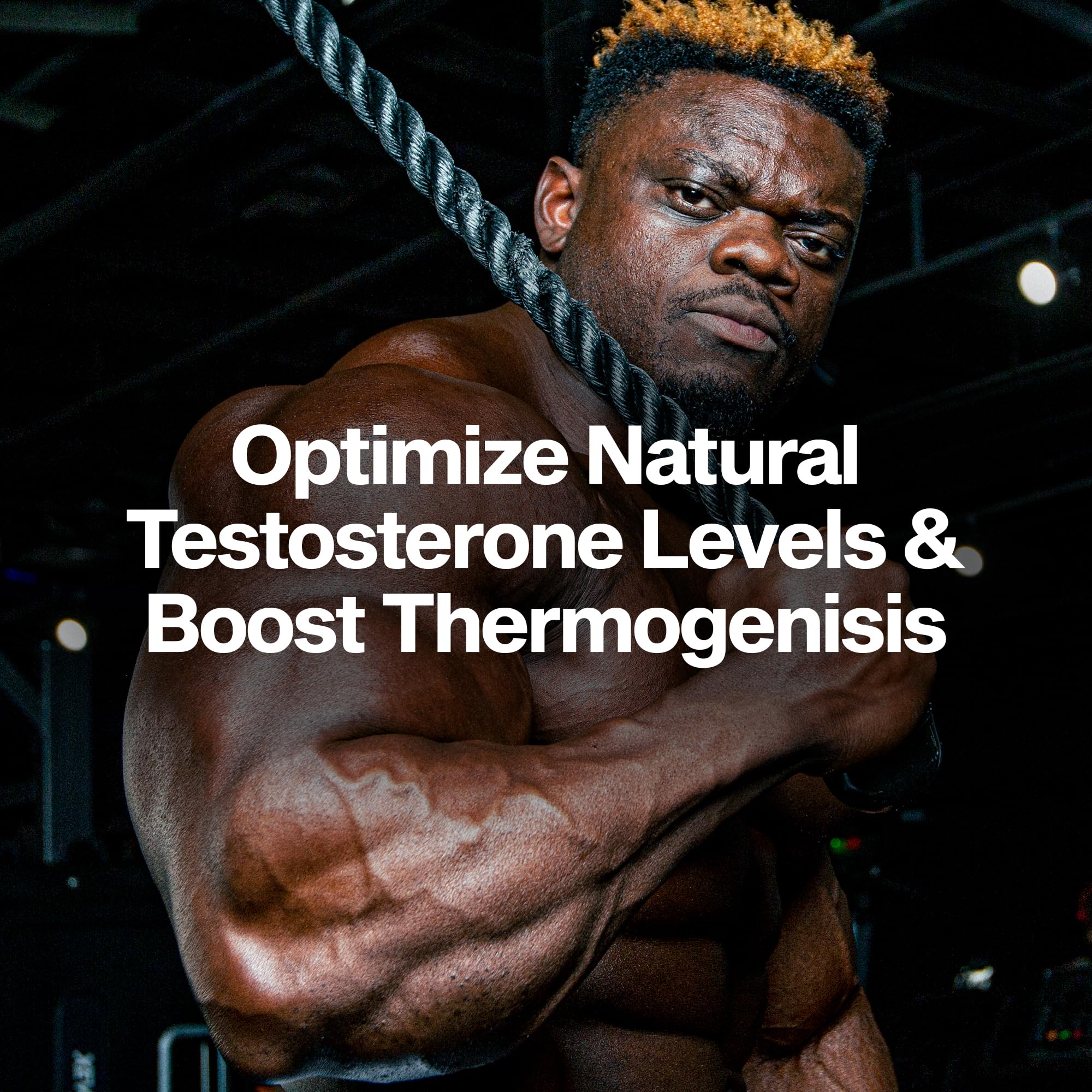 MuscleTech AlphaTest Thermo Testosterone Booster - Men

