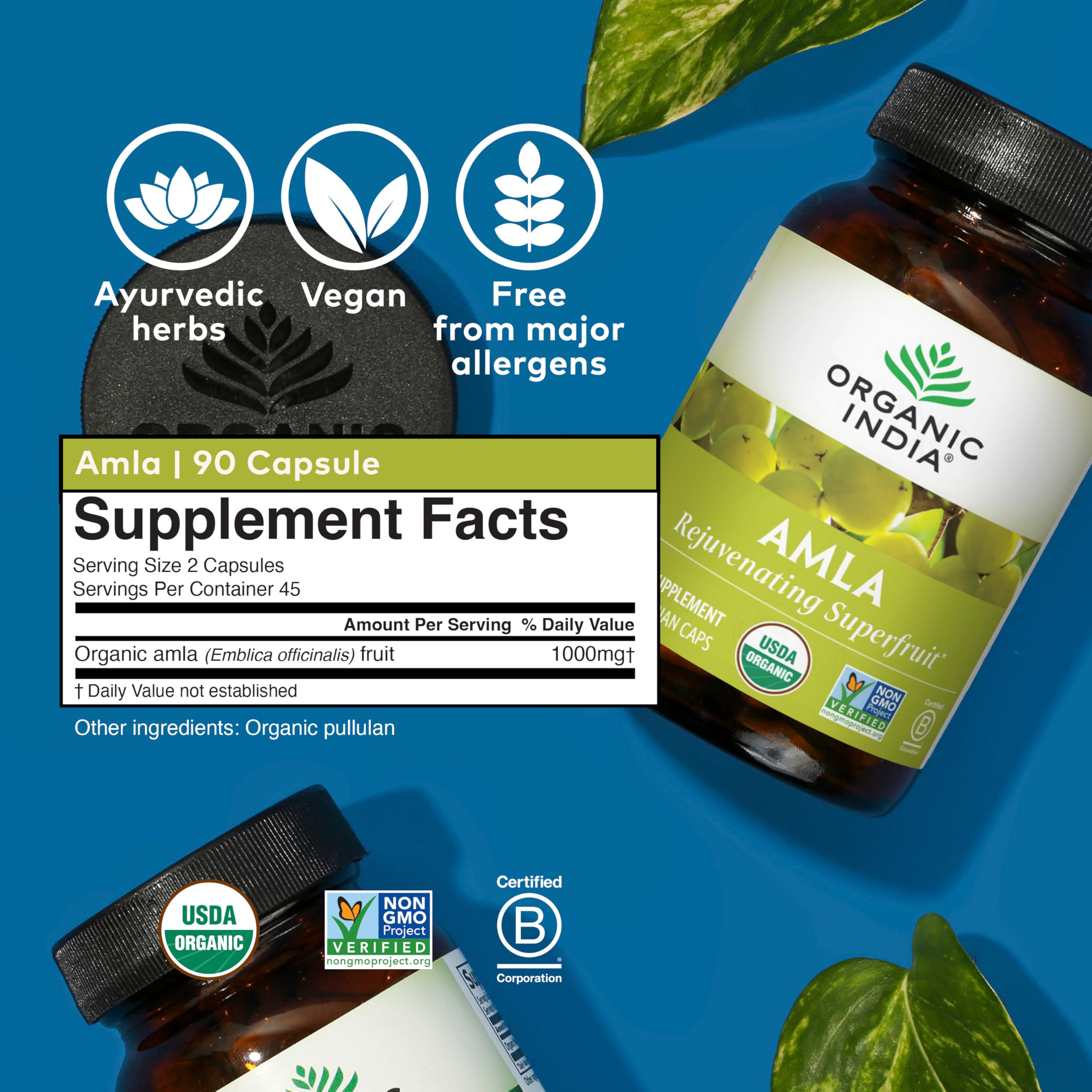 Organic India Amalaki Immune Support Herbal Supplement

