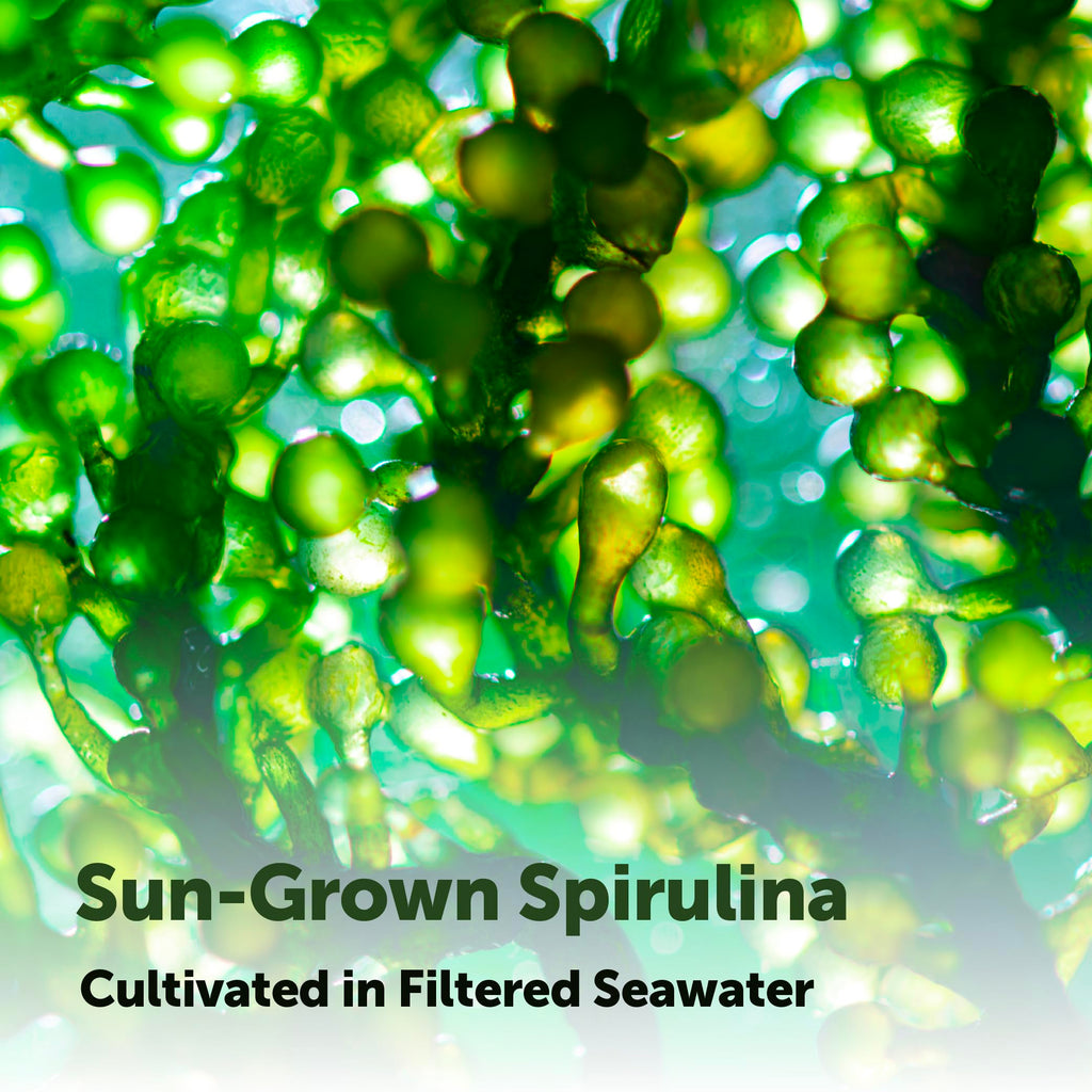Micro Ingredients Spirulina Supplement - Vegan

