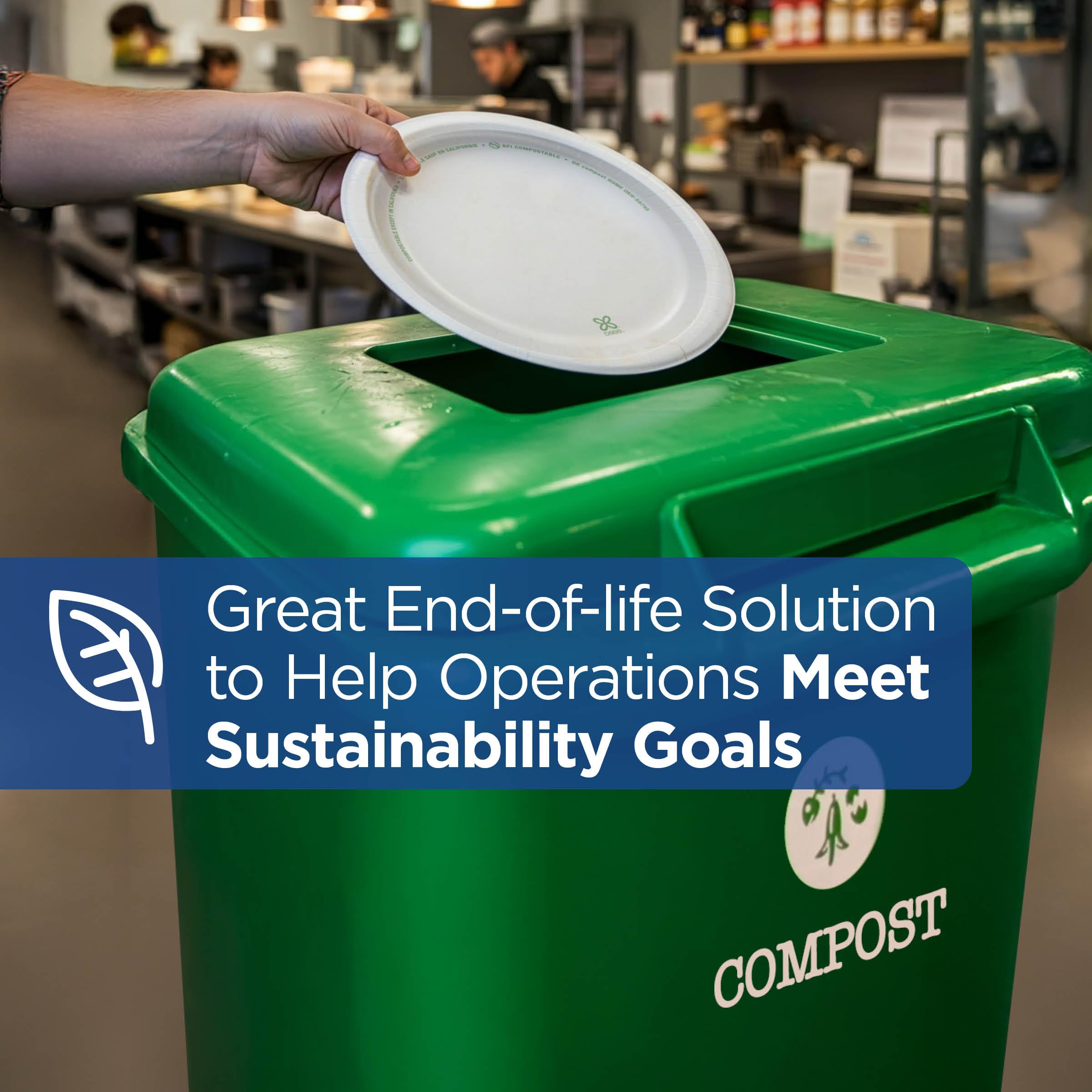 Dixie Disposable Plates – Compostable & Soak-Proof

