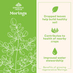 Organic India Moringa Herbal Supplement - Green Superfood

