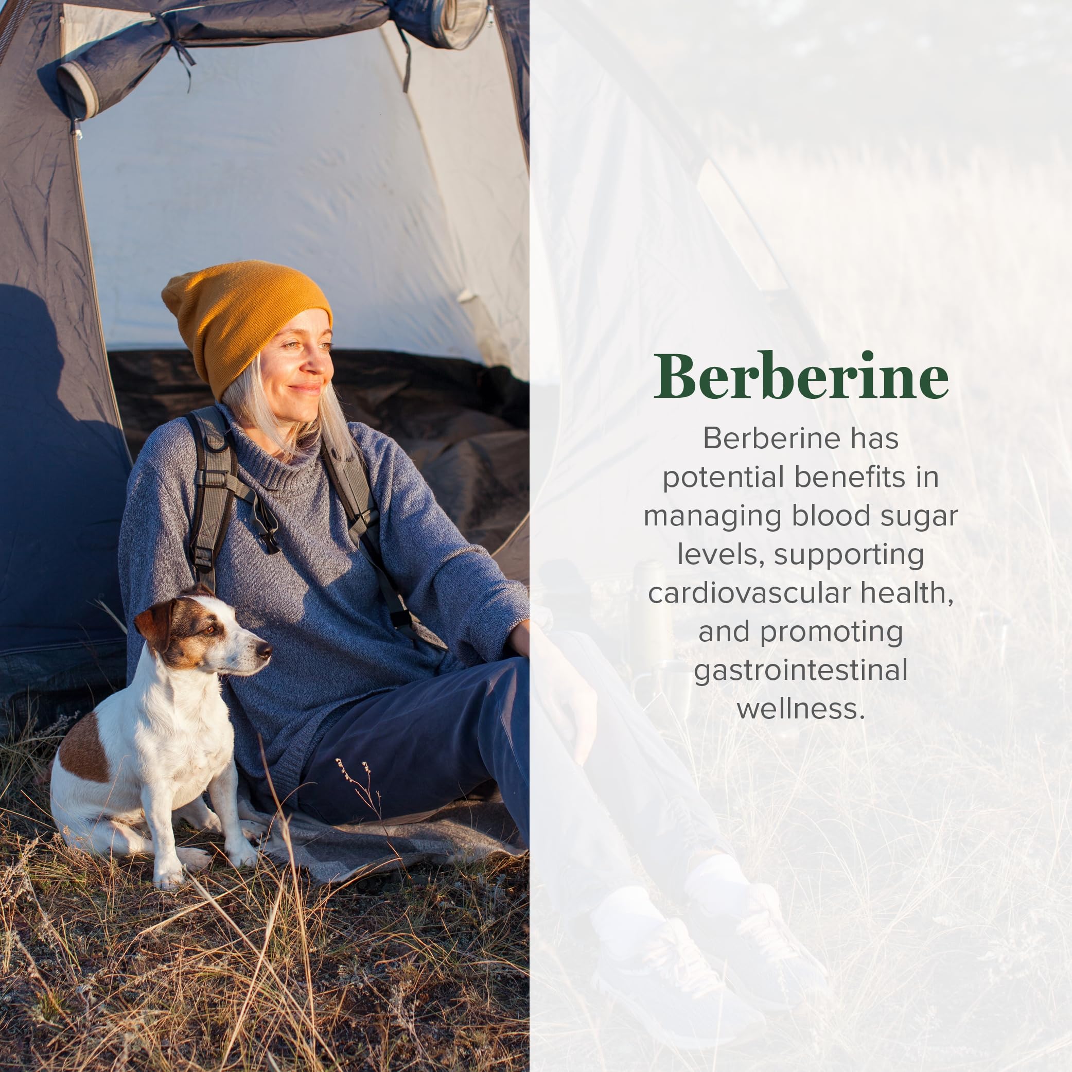 Global Healing Center Berberine with Cinnamon & Black Pepper

