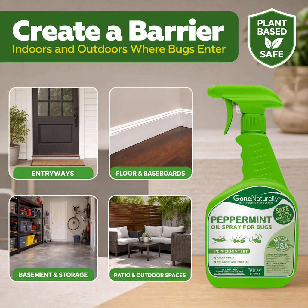 Plant-Based Bug Spray – Natural Insect Repellent

