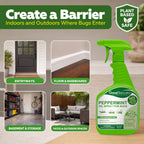 Plant-Based Bug Spray – Natural Insect Repellent

