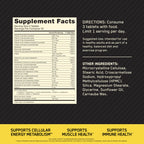 Opti-Men Multivitamin for Men Immune Support | Optimum Nutrition

