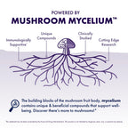 Lion's Mane Powder by Host Defense Mushroom Supplement

