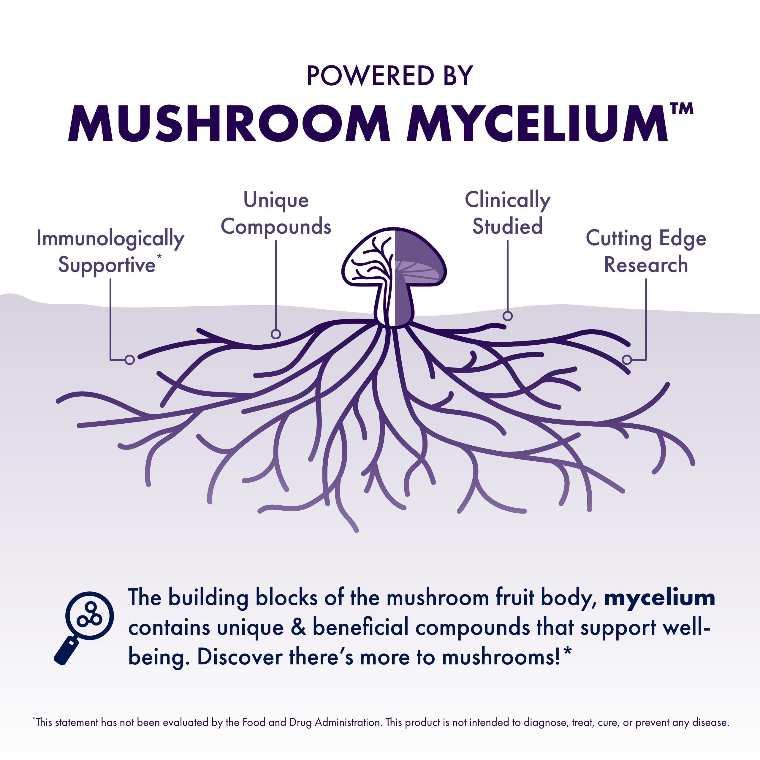 Lion's Mane Powder by Host Defense Mushroom Supplement

