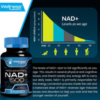 Wellness LABSRX Liposomal NAD Supplement - NAD+ Support

