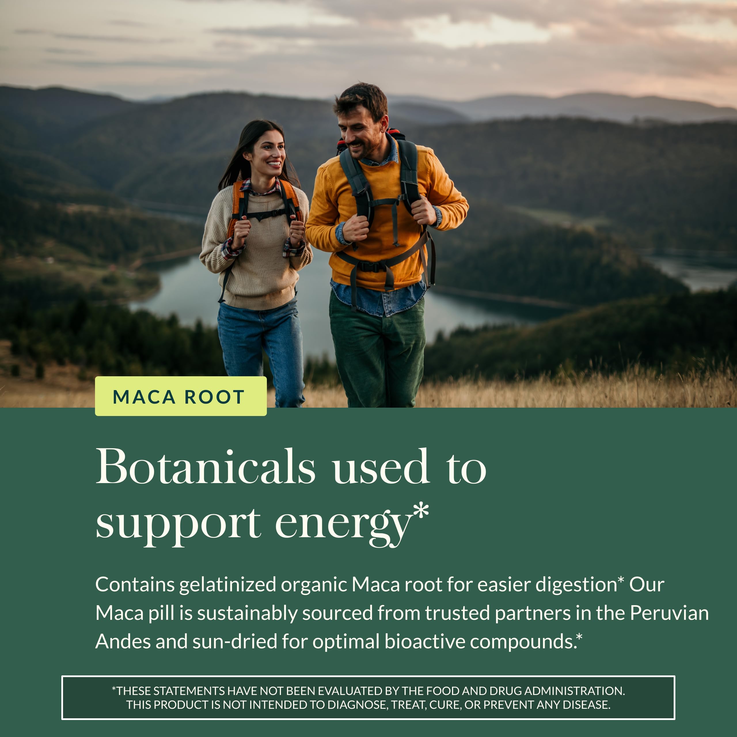 Gaia Herbs Maca Root Caffeine-Free Energy Support

