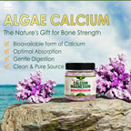 Sustainably Organic Plant Based Calcium Gummies with D3 K2 Zinc

