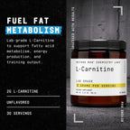 Beyond Raw L-Carnitine Powder | Fatty Acid Metabolism

