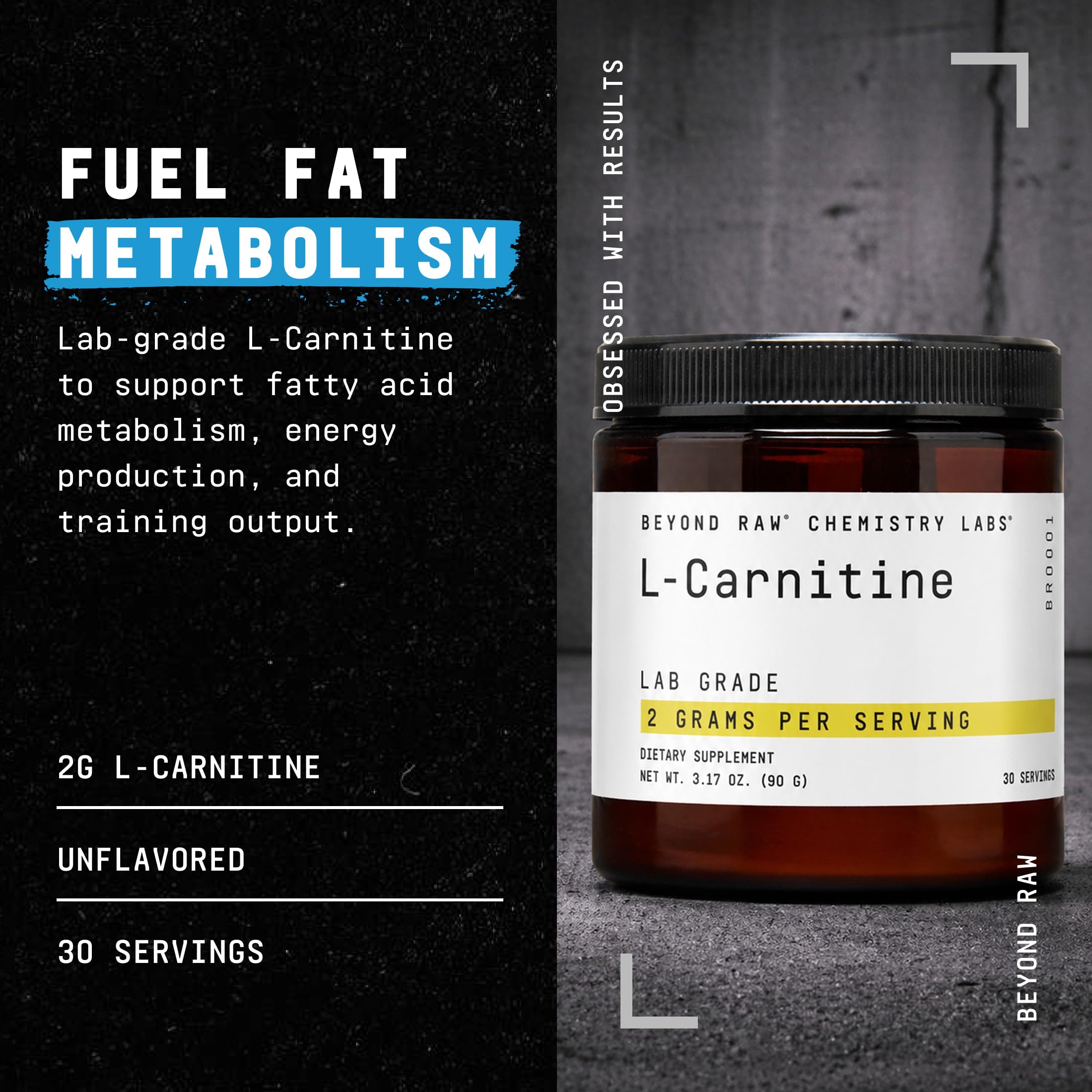Beyond Raw L-Carnitine Powder | Fatty Acid Metabolism

