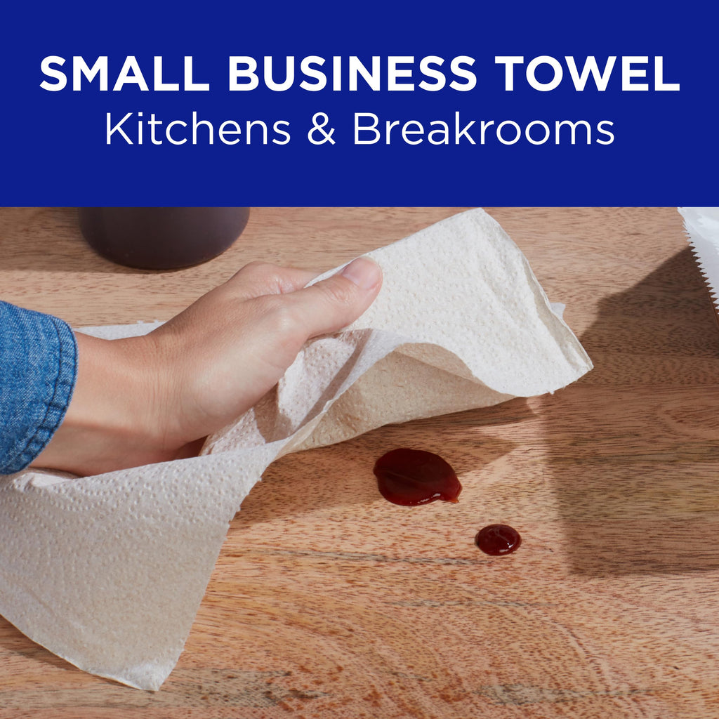 GP PRO Sparkle 2-Ply Perforated Kitchen Towels


