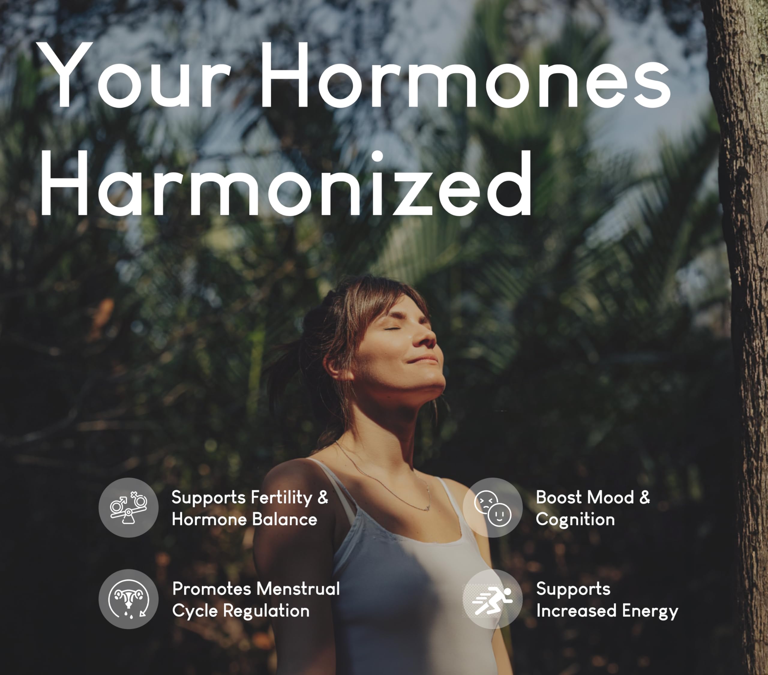 Dietary Supplement for Balance & Vitality

