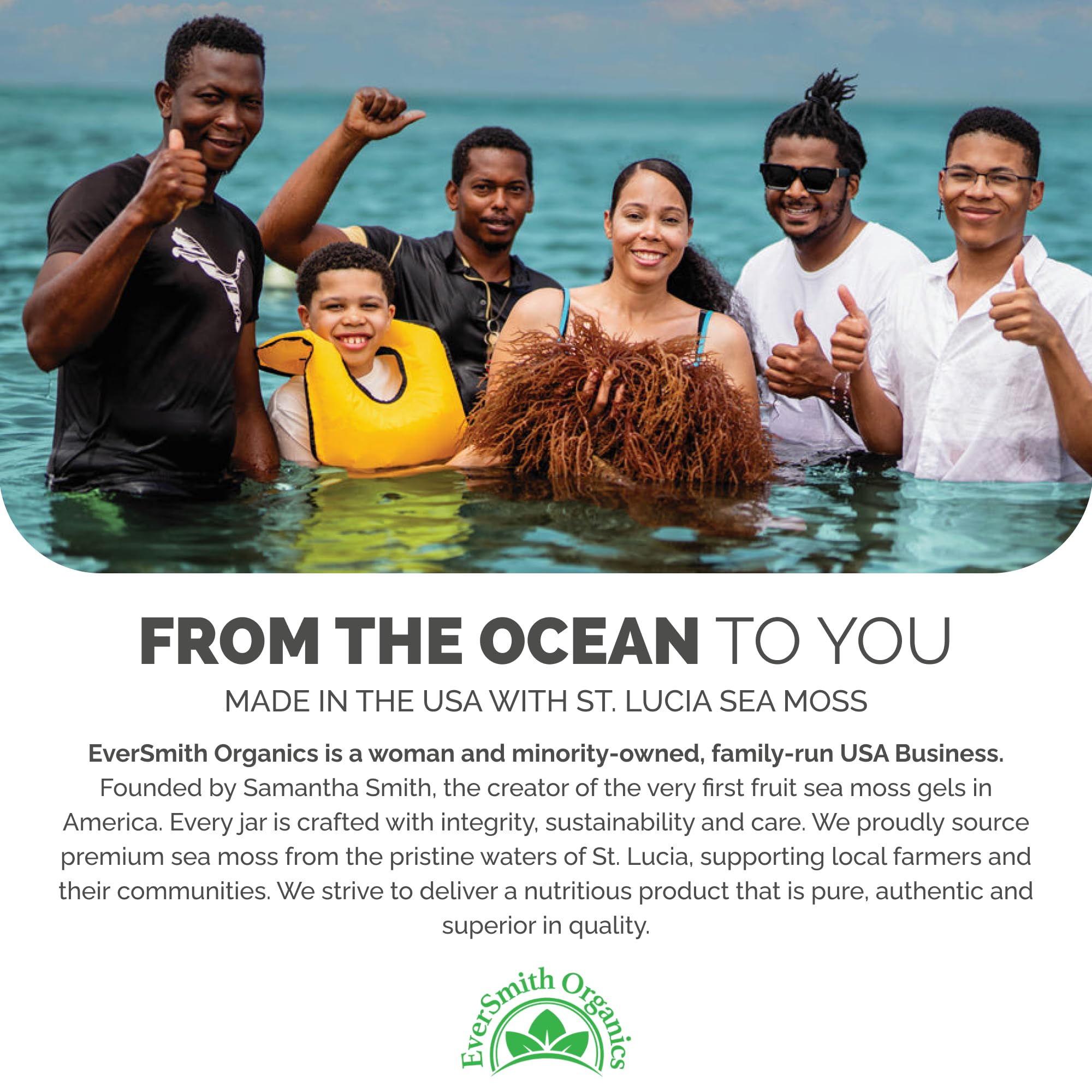 Sea Moss Gel by EverSmith Organics | USA Made

