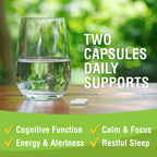 Magtein Magnesium L-Threonate | Brain Health & Cognition

