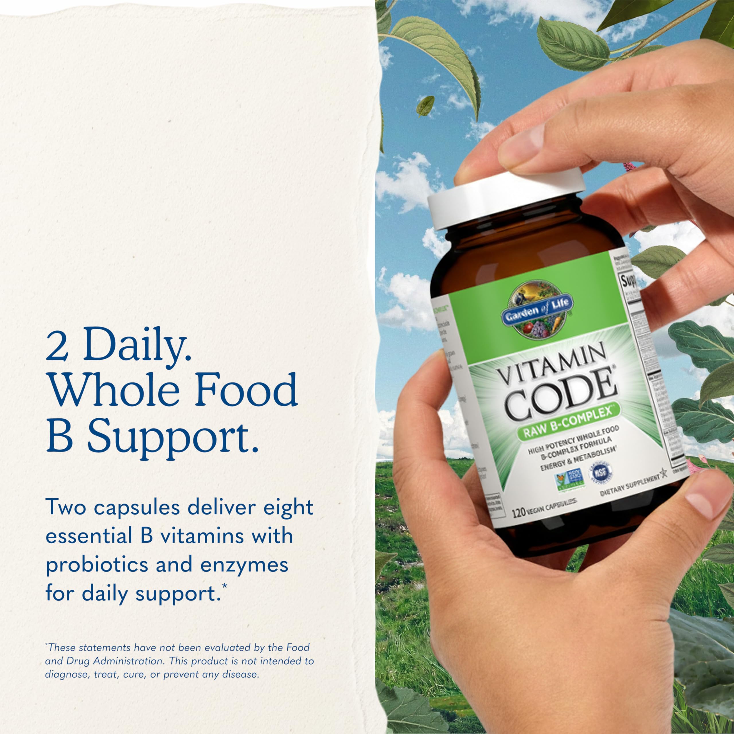 Garden of Life Vitamin B Complex - High Potency B Vitamins


