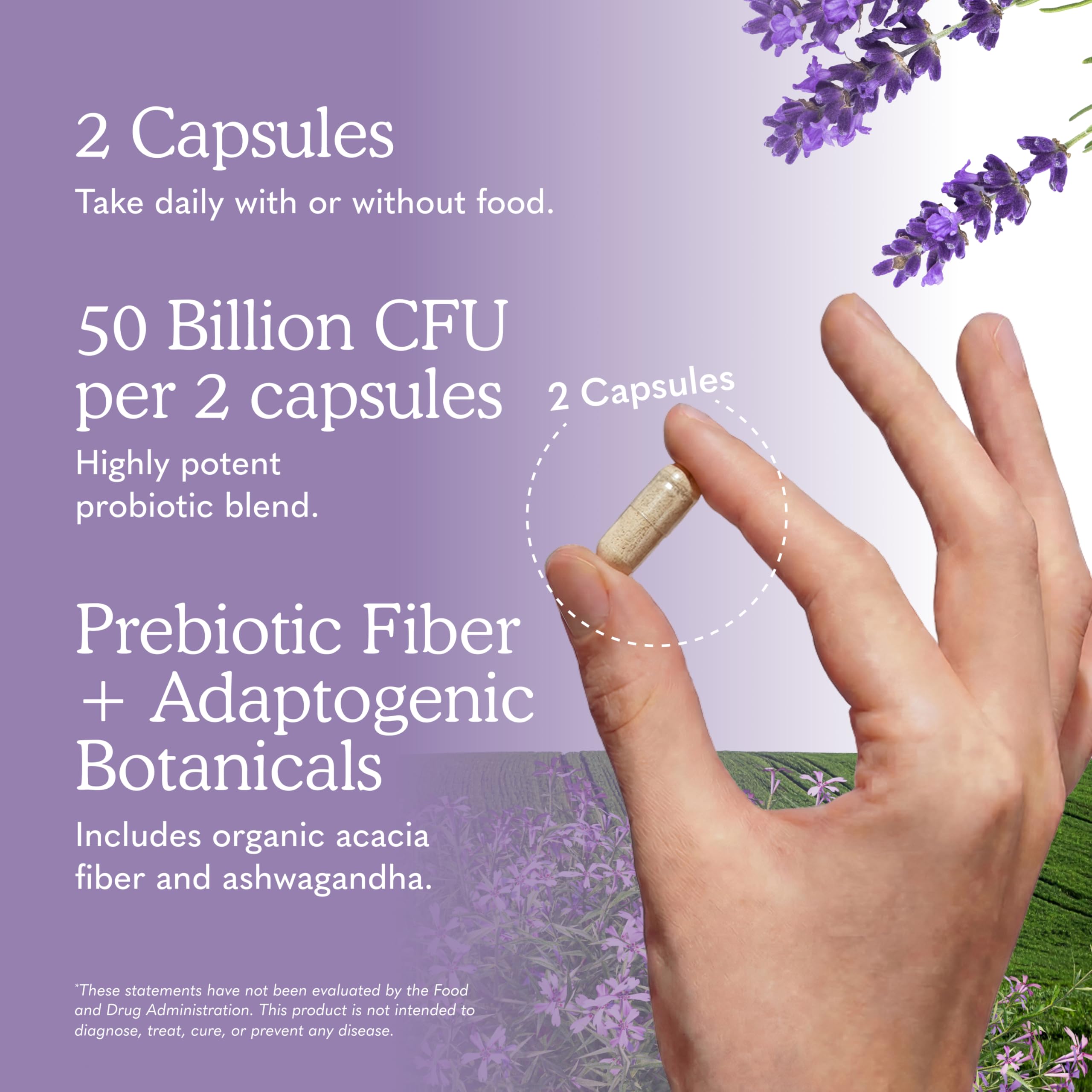 Garden of Life Mood+ Probiotic with Ashwagandha

