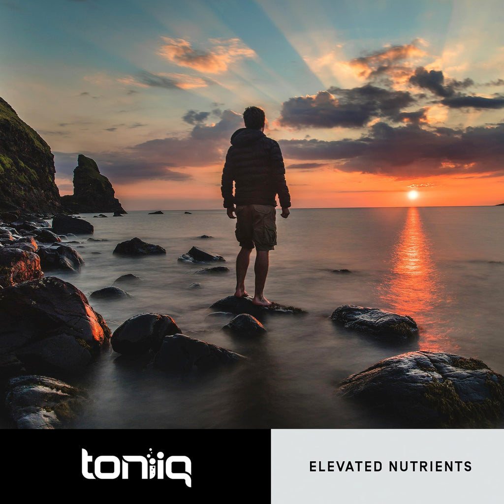 Toniiq Dihydroberberine with GlucoVantage | High Potency

