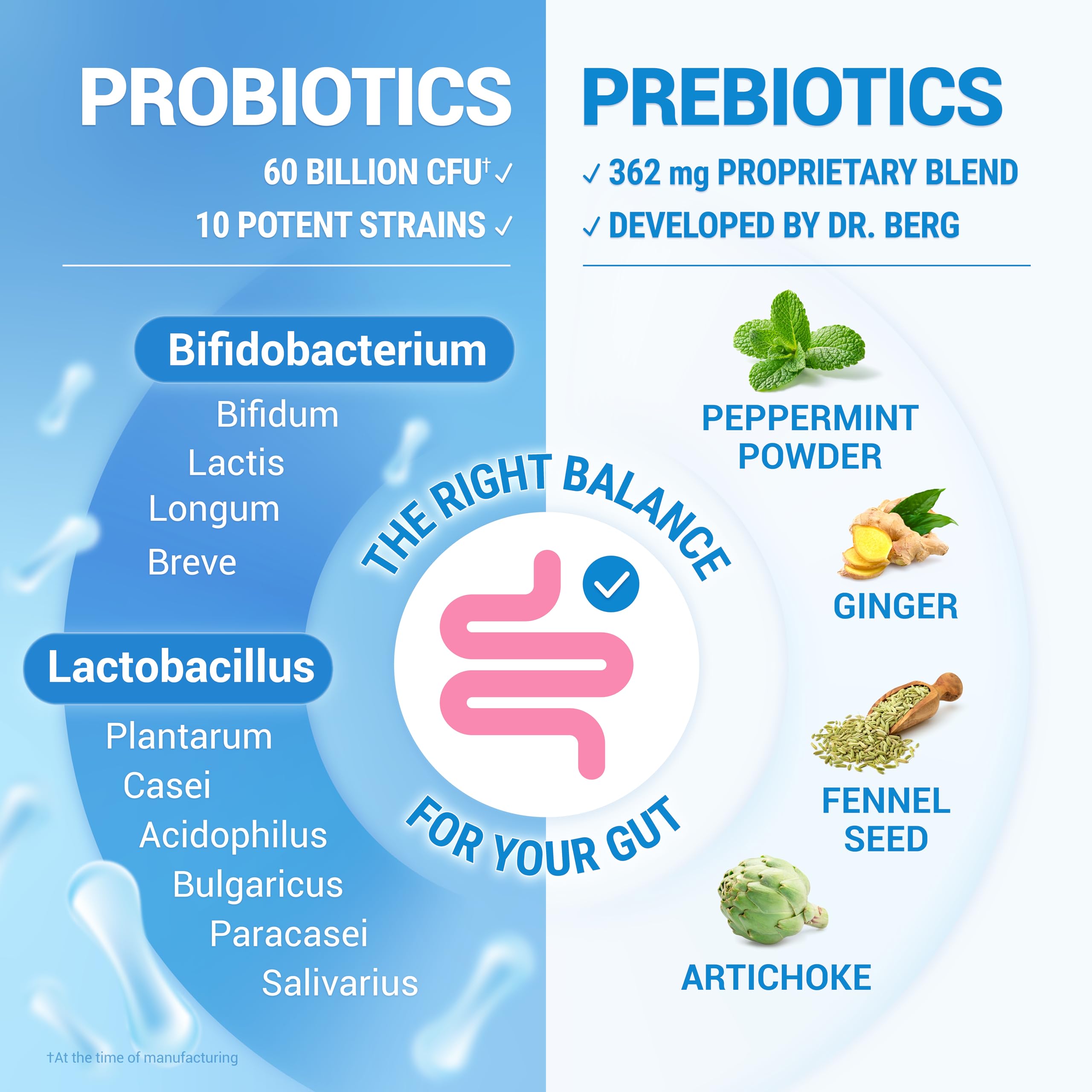 Dr. Berg Probiotic Supplement for Digestive Health

