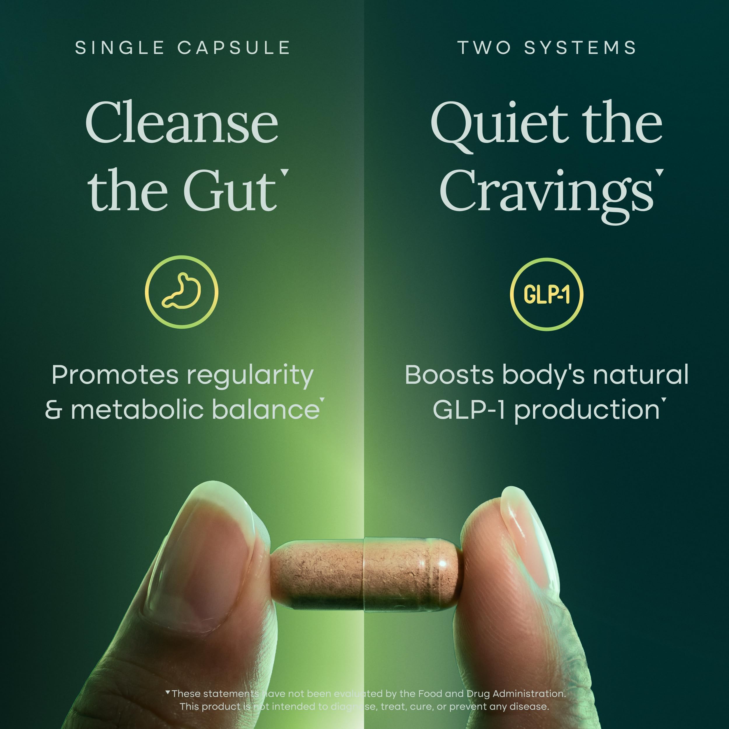 Weight Loss & Gut Health Supplement | Appetite Control

