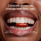 Timeline Mitopure Urolithin A Softgels | Cellular Health

