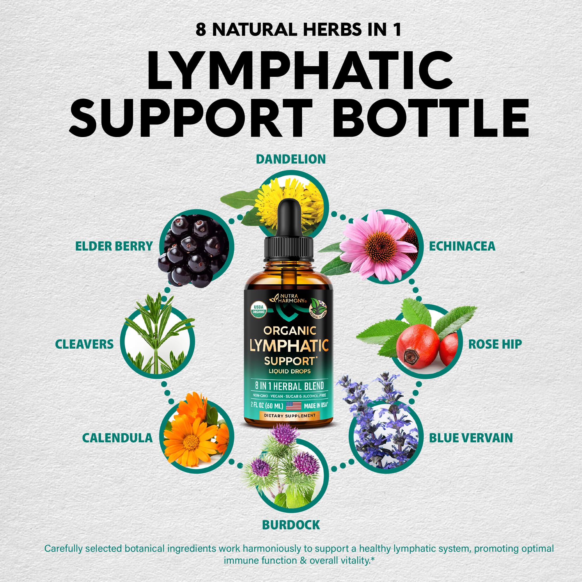 USDA Organic Lymphatic Drainage Supplement - Echinacea

