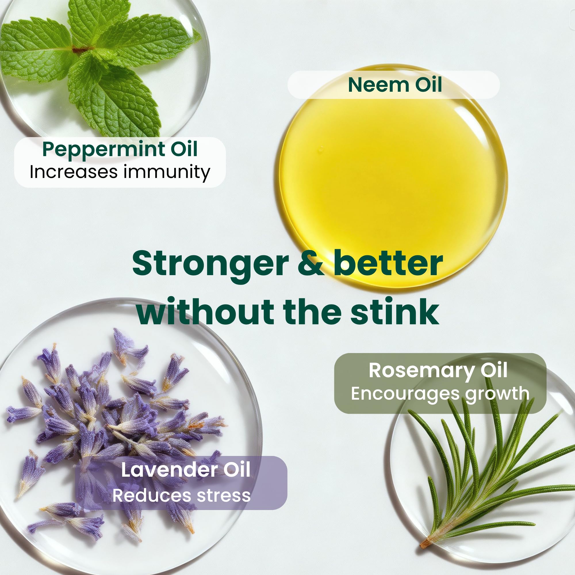 Neem Oil for Plants Kit with Sprayer and Essential Oils

