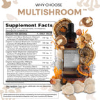 Clean Nutra Mushroom Liquid Drops | Immune Support

