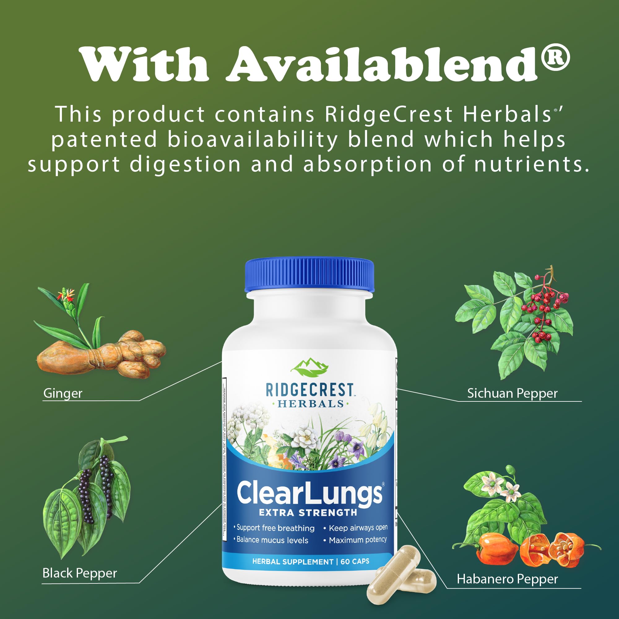 RidgeCrest ClearLungs Extra Strength Daily Lung Support

