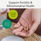 Egg Quality Support – Antioxidant Fertility Supplement

