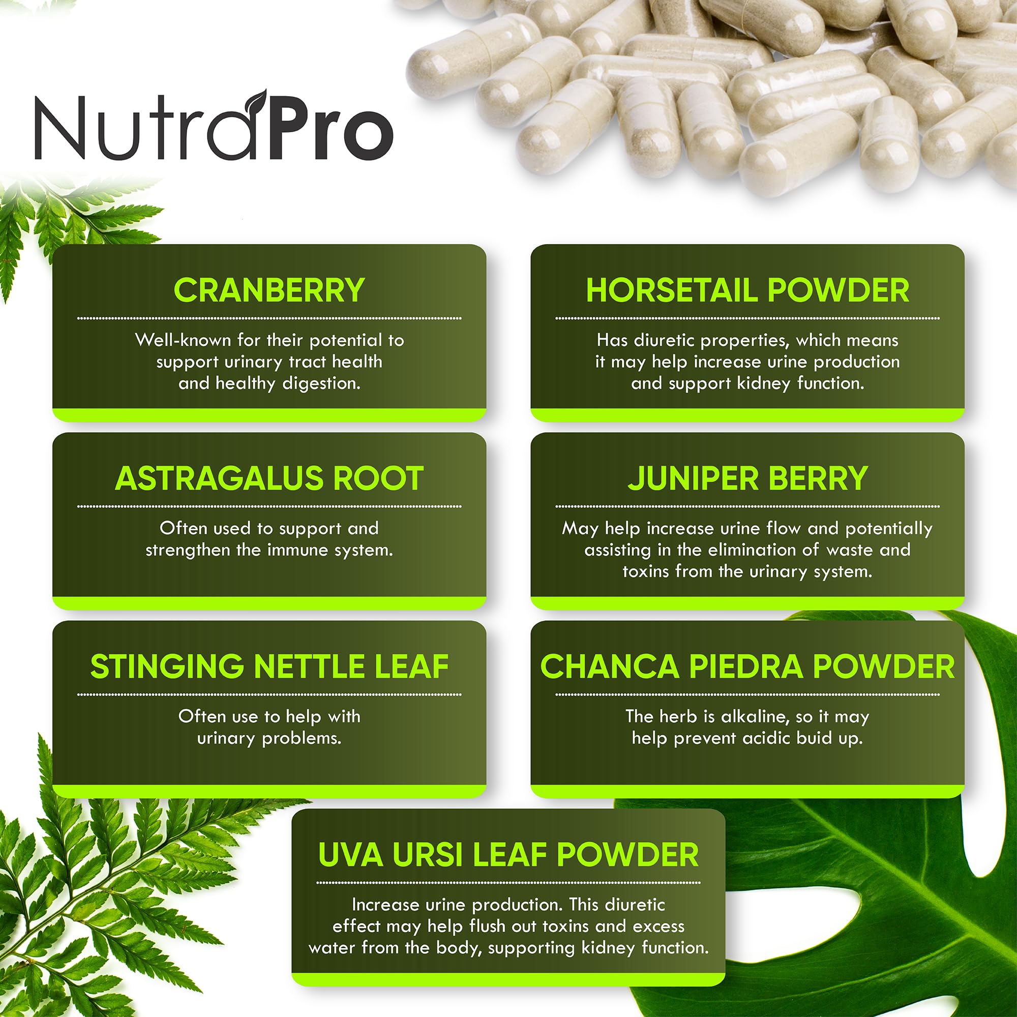 NutraPro Kidney Cleanse Detox & Bladder Support

