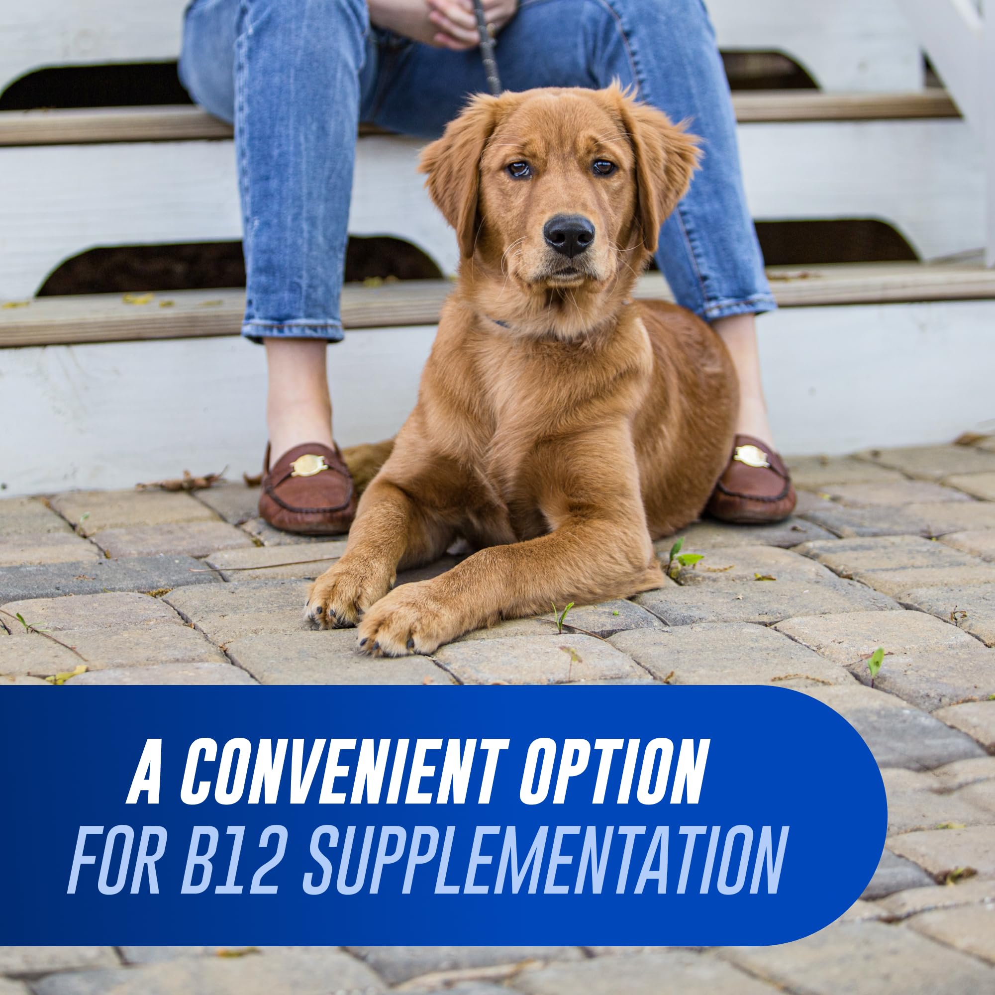 Nutramax Cobalequin B12 for Dogs - Oral Cobalamin Supplement

