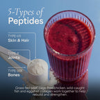 Wholesome Wellness Collagen Peptides Powder for Hair


