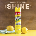 Endust Multi-Surface Dusting & Cleaning Spray

