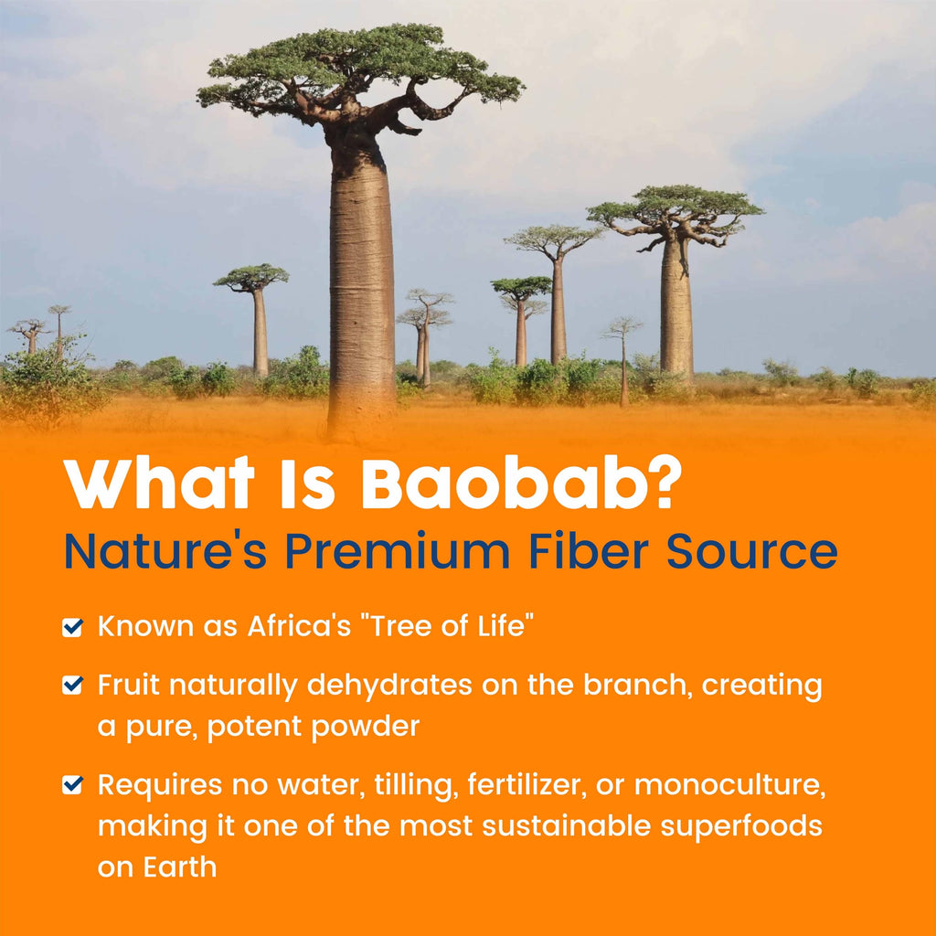 NativePath Organic Baobab Prebiotic Fiber Powder


