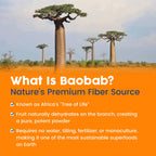 NativePath Organic Baobab Prebiotic Fiber Powder

