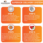 Wholesome Wellness Liposomal Vitamin C for Immune Support

