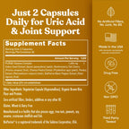 Purge Uric Acid Flush - Eu Natural Uric Acid Joint Support

