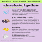 Lemme Metabolism Gummies for Daily Wellness

