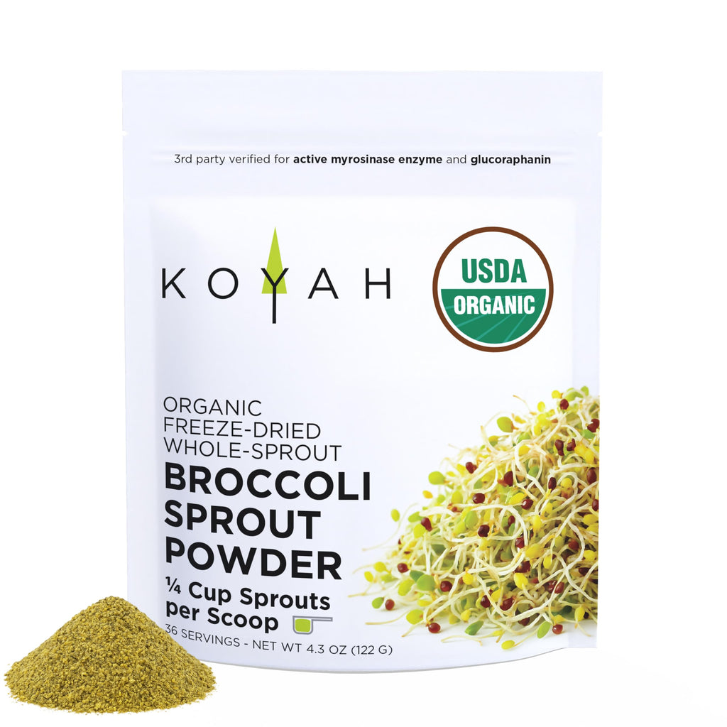KOYAH Broccoli Sprout Powder | Easy Nutrition

