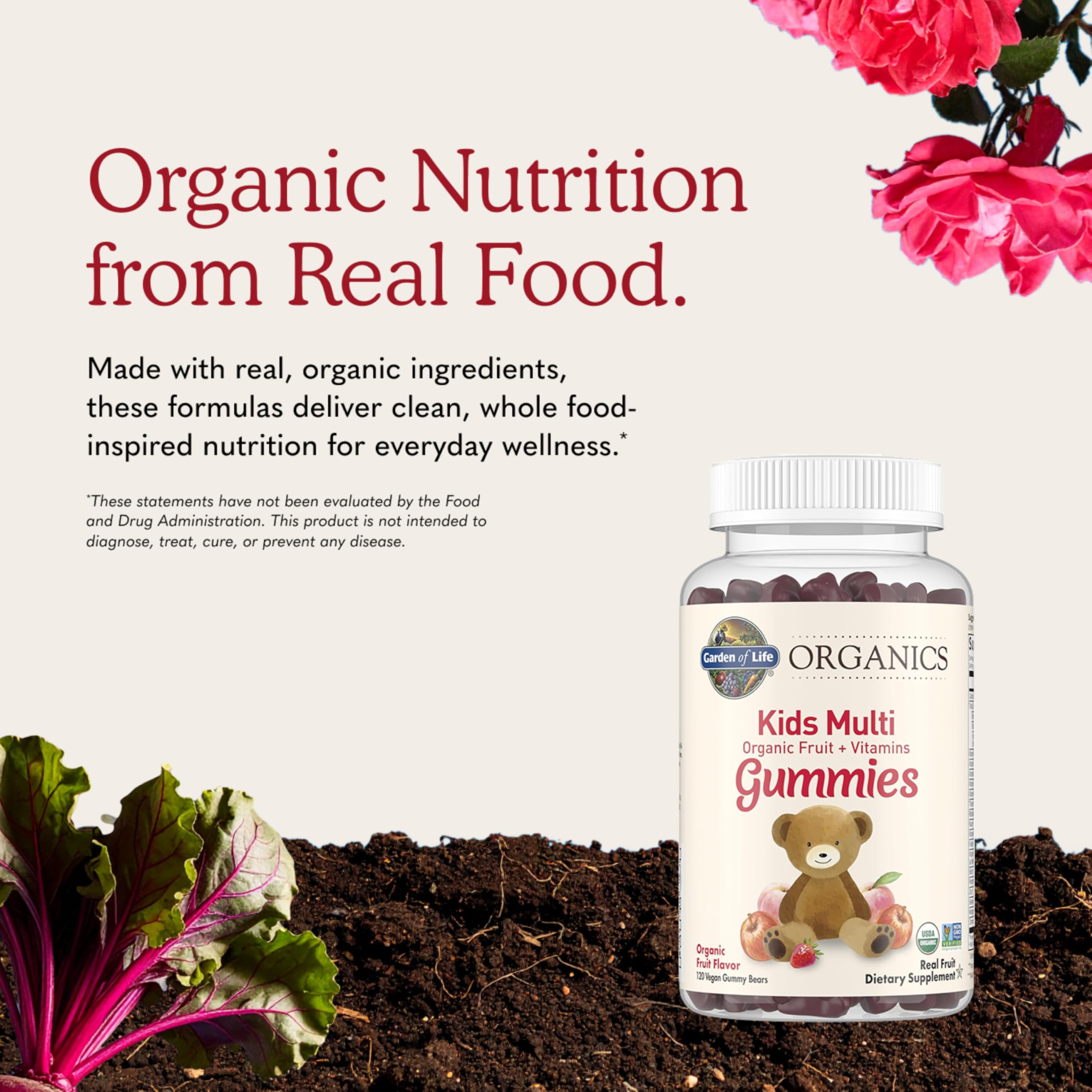 Garden of Life Organics Kids Multivitamin Gummies

