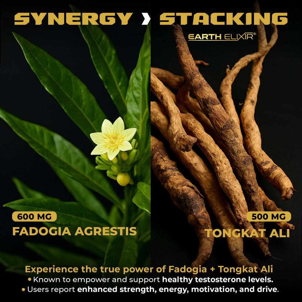 Earth Elixir Fadogia Agrestis Tongkat Ali Testosterone

